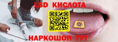 шишки Кимры