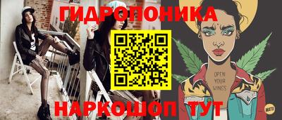 шишки Кимры