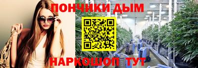 шишки Кимры