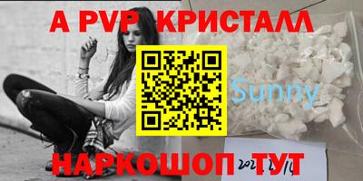 шишки Кимры