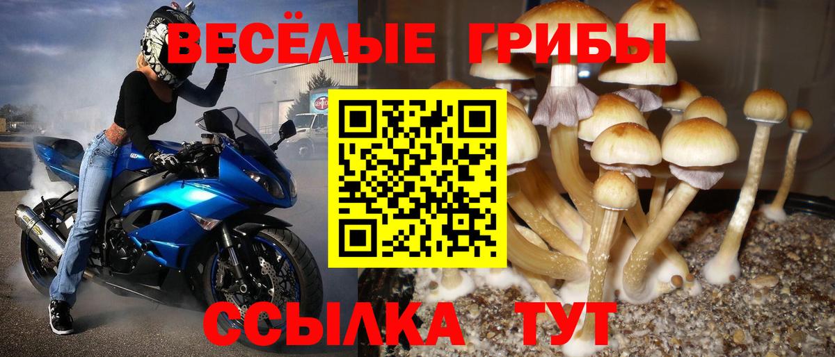 Псилоцибиновые грибы Cubensis  Вход с VPN  Новодвинск 